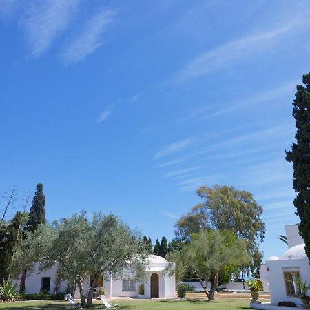 Lella Zohra, Studio Avec Piscine A Sidi Bou Said Bed & Breakfast Exterior foto