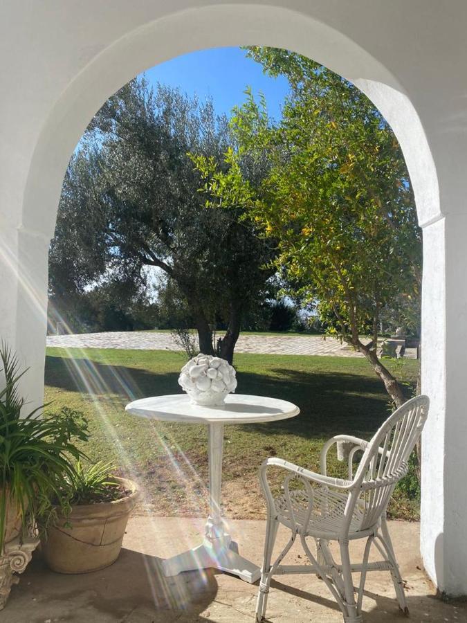 Lella Zohra, Studio Avec Piscine A Sidi Bou Said Bed & Breakfast Exterior foto