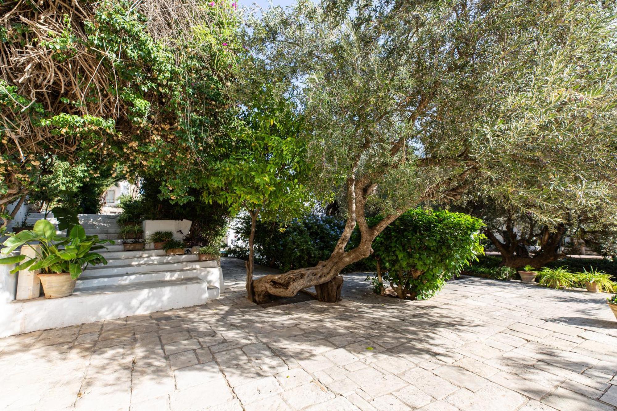 Lella Zohra, Studio Avec Piscine A Sidi Bou Said Bed & Breakfast Exterior foto