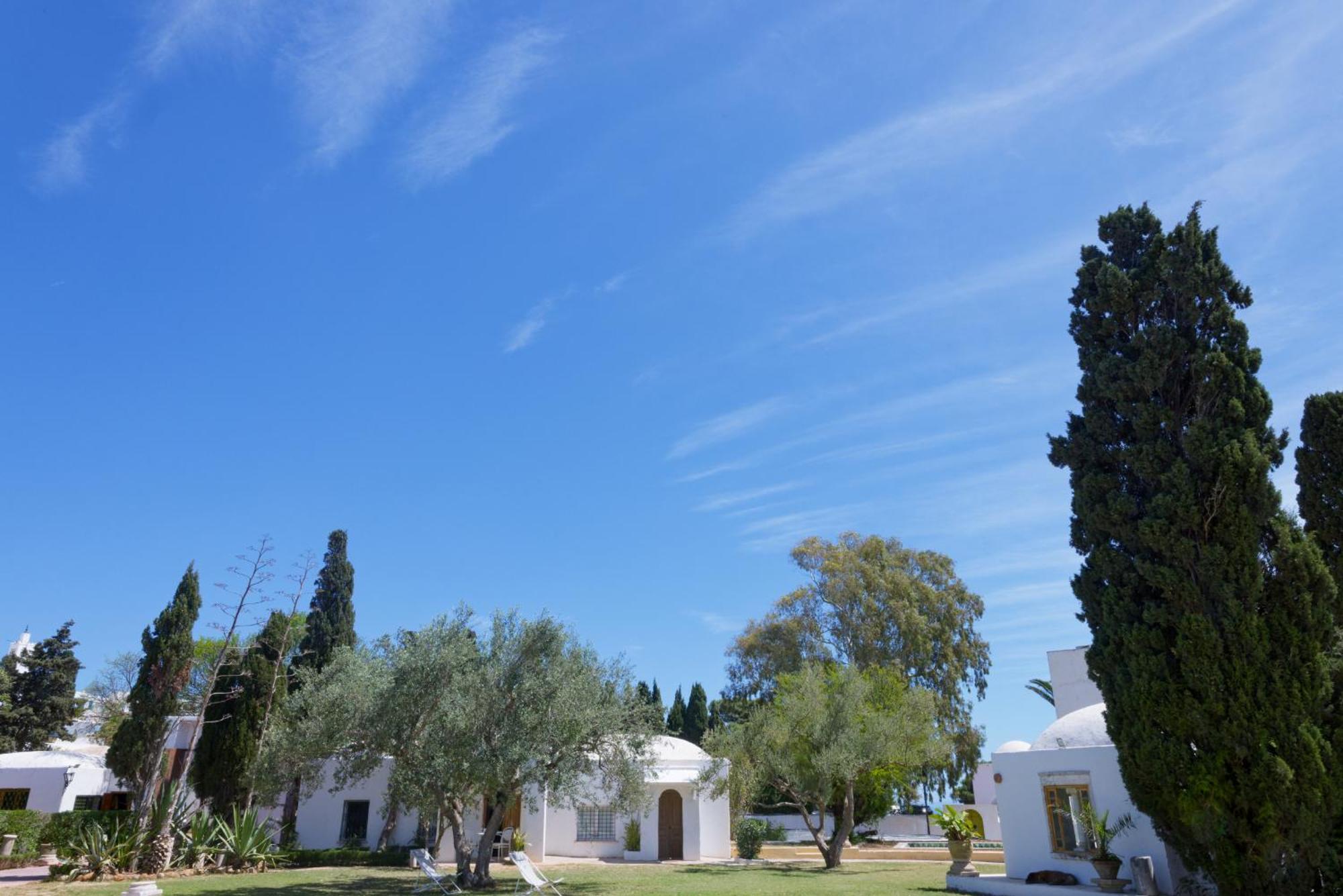 Lella Zohra, Studio Avec Piscine A Sidi Bou Said Bed & Breakfast Exterior foto