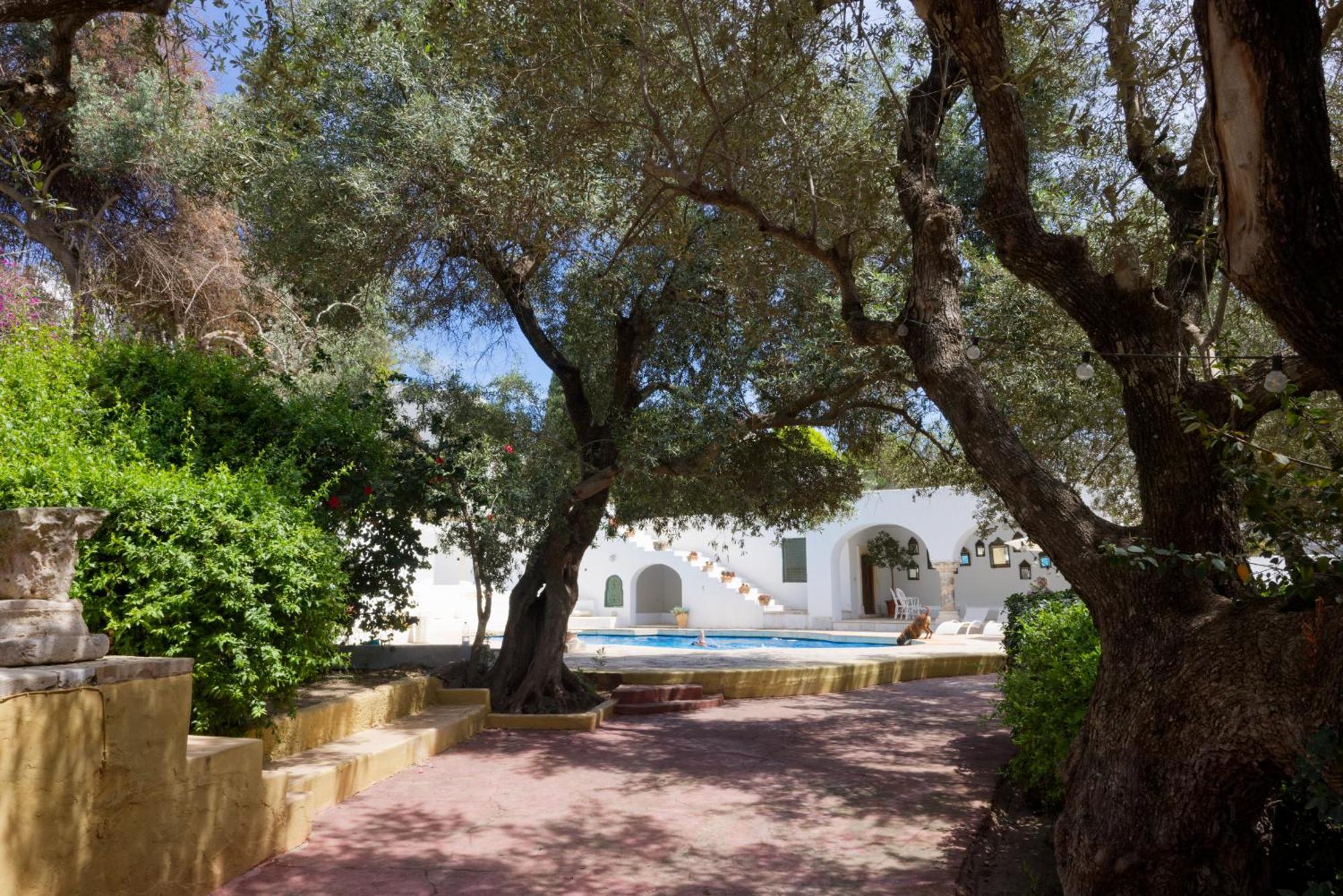Lella Zohra, Studio Avec Piscine A Sidi Bou Said Bed & Breakfast Exterior foto